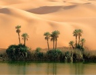 Tropical beach wallpaper 131