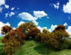 beautiful wallpaper 011