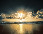 beautiful wallpaper 017