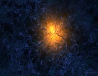 beautiful wallpaper 023