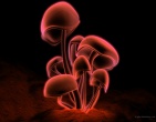 Beautiful wallpaper 064