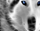 Beautiful wallpaper 078