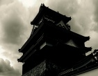 Beautiful wallpaper 085