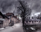Beautiful wallpaper 095