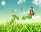 Beautiful wallpaper 120