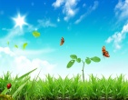 Beautiful wallpaper 145