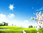 Beautiful wallpaper 152