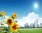Beautiful wallpaper 154