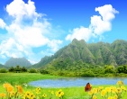 Beautiful wallpaper 155
