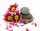 Beautiful wallpaper 158