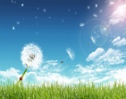 Beautiful wallpaper 232