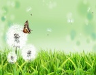 Beautiful wallpaper 233
