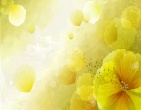 Best wallpaper 172