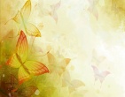 Best wallpaper 177
