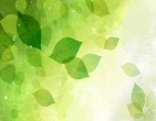 Best wallpaper 181