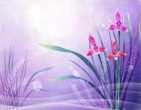 Best wallpaper 186