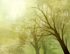 Best wallpaper 187