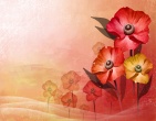 Best wallpaper 191