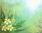 Best wallpaper 194