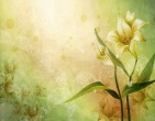 best wallpaper 196