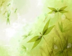 Best wallpaper 198