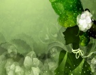 Best wallpaper 227