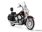 HD_FLSTC_2011_01