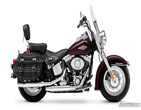 HD_FLSTC_2011_02