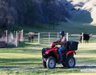 Honda_FourTrax_Foreman_4x4_ES_19