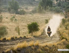 KTM_990_SMT_2011_15