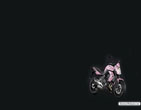 Kawasaki_ER 6n_ABS_Personal_Paint_2011_03