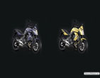 Kawasaki_ER 6n_ABS_Personal_Paint_2011_04