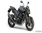 Kawasaki_Z750R_2011_18
