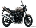 Suzuki_GSF_1250_Bandit_2011_04