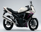 Suzuki_GSX_650_F_2011_03
