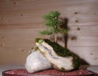 Bonsai wallpaper 002