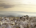 Cars wallpaper 080