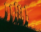 Cartoons wallpaper 215