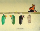 childrens wallpaper 003