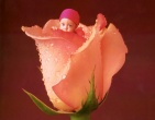 childrens wallpaper 018