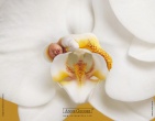 Childrens wallpaper 020