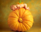 Childrens wallpaper 024