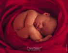 childrens wallpaper 031
