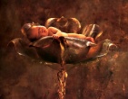 Childrens wallpaper 039