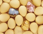 childrens wallpaper 041