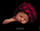 childrens wallpaper 043