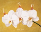 Childrens wallpaper 054