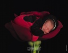 childrens wallpaper 056