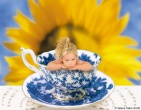 Childrens wallpaper 150