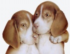 Childrens wallpaper 154